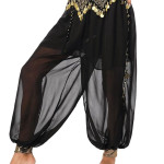 Pantalón para belly dance, negro con transparencia, disfraz, halloween